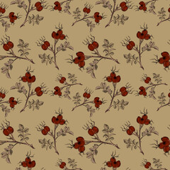 hand drawn rose hip pattern design 