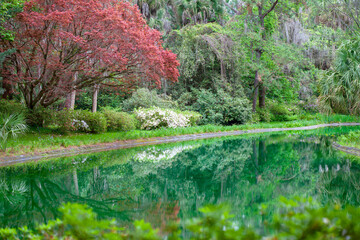Garden and Pond at MaClay Gardens, Tallahassee, Florida