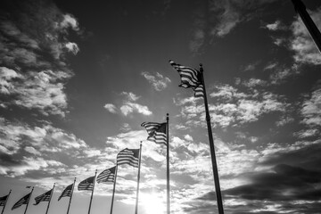 American Flags Flying in the Wind in Black and White