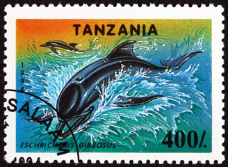 Postage stamp Tanzania 1994 gray whale, eschrichtius gibbosus, is a baleen whale that migrates between feeding and breeding grounds yearly