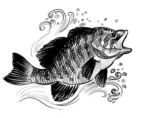 Jumping fish. Hand-drawn ink black and white illustration