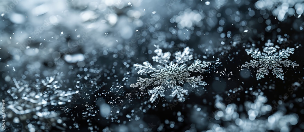 Poster snow black background abstract texture snowflakes falling in the sky overlay. creative banner. copys