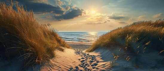 path at Baltic sea over sand dunes with ocean view sunset summer evening. Creative Banner. Copyspace image