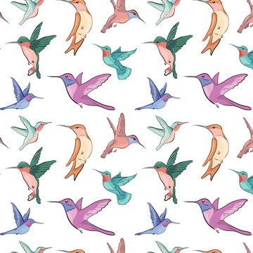 Flying hummingbirds pattern. Vector image for fabric, textile, decoration, postcard.