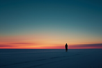 Fototapeta na wymiar Solitary silhouette is framed against a horizon of twilight hues