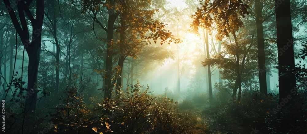 Poster the most beautiful forest with mystical and mysterious views and atmospheric sunrises in the early m