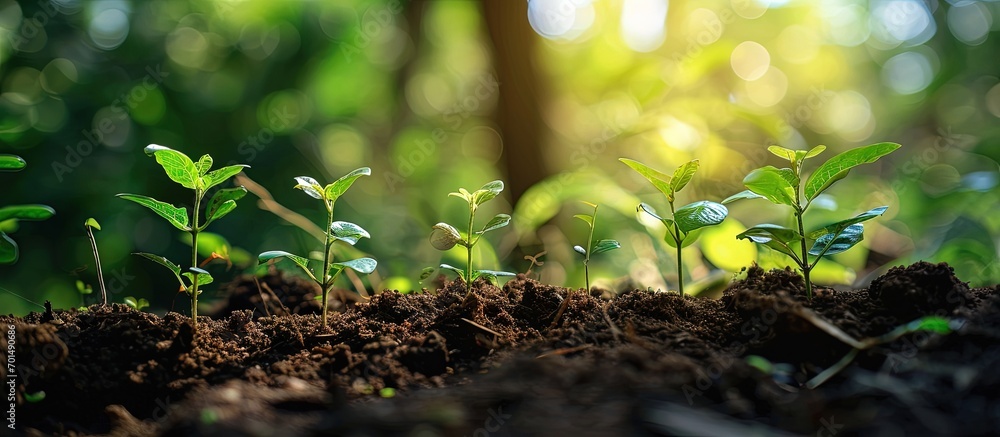Poster Planting trees with to grow in the soil on greenery background Network and connection concept. Creative Banner. Copyspace image