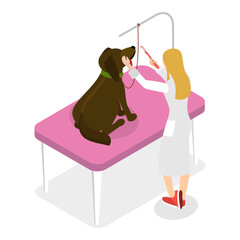 3D Isometric Flat Vector Illustration of Pet Grooming, Professional Pet Barber Services. Item 4