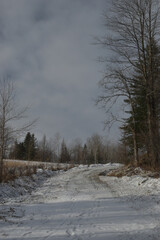 Fototapeta premium Marais Kingsbury Et Chemin Keanan 1 Janvier 2024