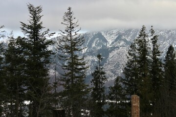 snow covered mountains