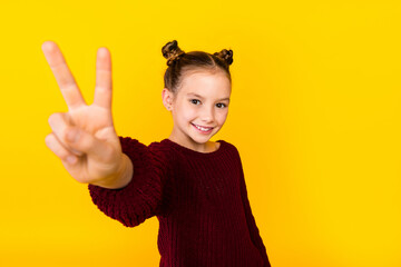 Portrait of cheerful nice schoolchild toothy smile demonstrate v-sign empty space isolated on...