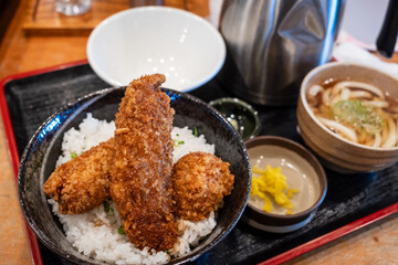 日本の愛知県のとても美味しい醤油かつ丼