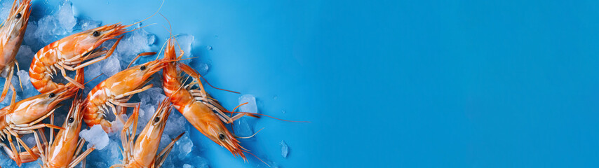 Closeup of fresh sea food of shrimps and prawns on ice isolated on bright blue background banner - obrazy, fototapety, plakaty