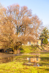 the trees on the river bank are flooded by the river