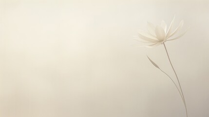  a close up of a white flower on a white background with a blurry image of the back of the flower.