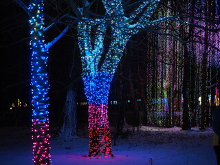 iluminacje świetlne wokół drzew