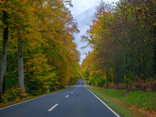 Obraz premium Herbstliche Landstraße mit buntem Laub 