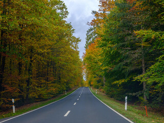 Herbstliche Straße durch buntes Laub
