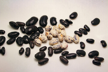 Black and White Dried Bean Seeds