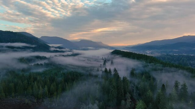 Valley by Mountains and Green Trees covered in fog. Canadian Landscape Nature Aerial Background. Vancouver Island, British Columbia, Canada.