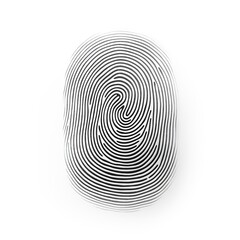 Fingerprint on White Background. Security, Code, Lock, Privacy
