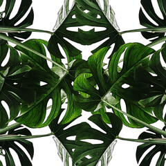 NATURE MONSTERA PLANT LEAVES IN ABSTRACT ORNAMENT. COLLAGE POSTER PRINT.