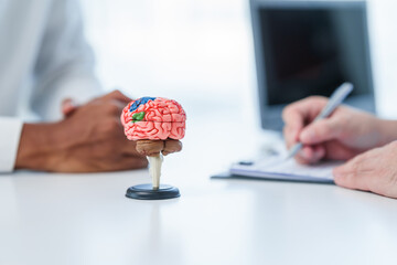 close-up of a medical consultation with a focus on a colorful brain model on the desk, while a...