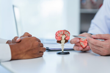 close-up of a medical consultation with a focus on a colorful brain model on the desk, while a...