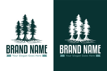 simple three tree redwood vintage outdoor illustration vector logo design - obrazy, fototapety, plakaty
