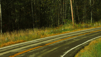 Abandoned Road