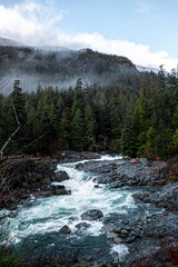 rushing rapid river landscape with fog and forest