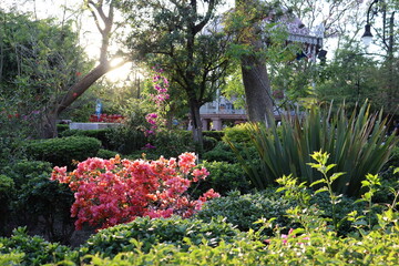 garden with plants flowers and trees, on a sunny sunset, landscape kiosk