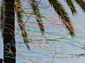 Palme mit Girlanden geschmückt Silveter  LA Palma