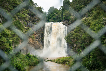 waterfall in the forest