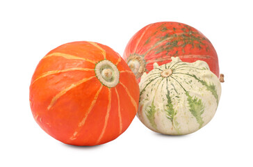 Different fresh ripe pumpkins isolated on white