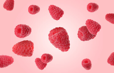 Fresh ripe raspberries falling on pink background