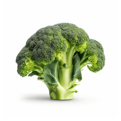 broccoli isolated on white background