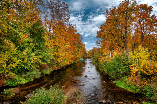 Herbst an der Brigach