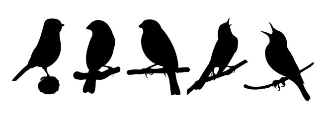 silhouette bird above the tree trunk