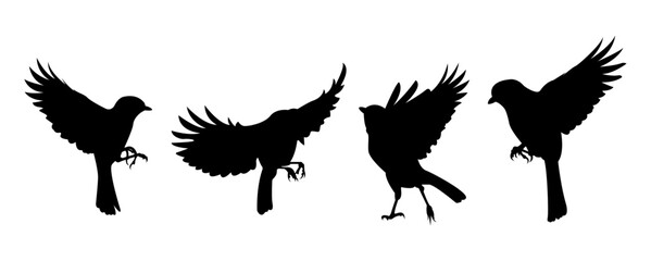 bird silhouette flying away