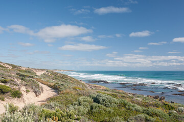 Fototapeta na wymiar 4x4 track next to the beach in Robe, South Australia