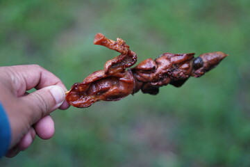 Human hand holding chicken entrails