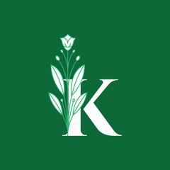letter k flower stylish beauty flourish modern logo design graphic vector