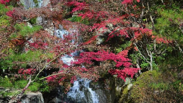 広島県三原市の三景園にある三段の滝