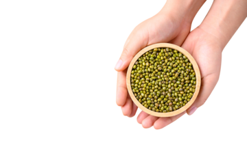 Mung bean seeds in wooden bowl holding by hand