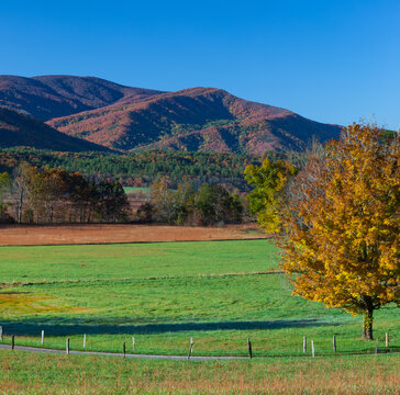 Autumn in Cades Cove, Great Smoky Mountains National Park