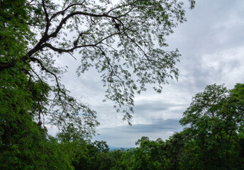 Ventana de cielo