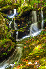 Naklejka na ściany i meble Autumn Waterfall, Tremont, Great Smoky Mountains National Park