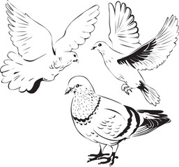 Silhouette of dove, bird, pet, poultry. Suitable for invitation, merchandise design, sticker design, poster, clothes design, etc.