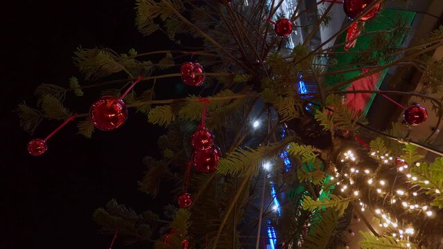 Shiny Christmas decors and bright lights adorning a Christmas tree placed in front of a building located in a Southeast Asian city.